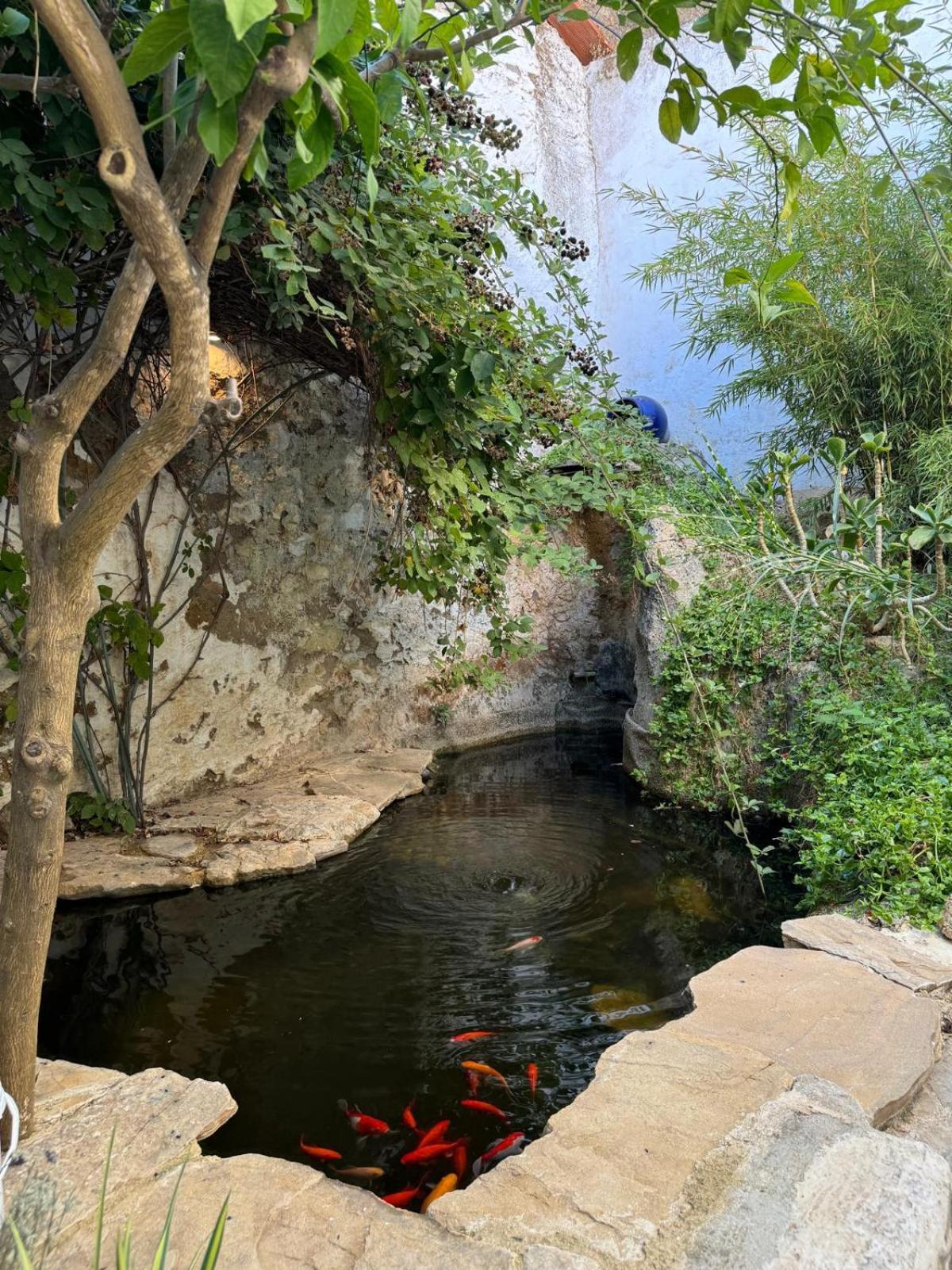 Villa Despertar Antequera Exterior foto
