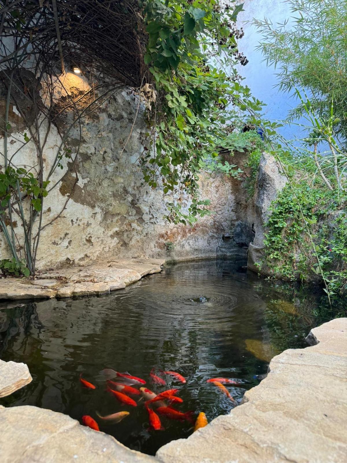 Villa Despertar Antequera Exterior foto